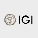 International Gemological Institute (IGI)