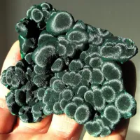 Velvet Malachite