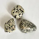 Dalmatian Jasper