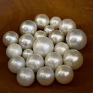 South Sea Pearl