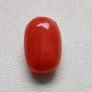 Red Coral