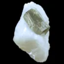 Phlogopite